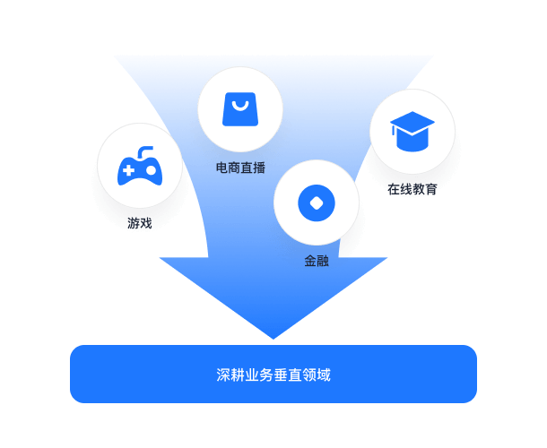 行业定制化解决方案：深耕业务垂直领域